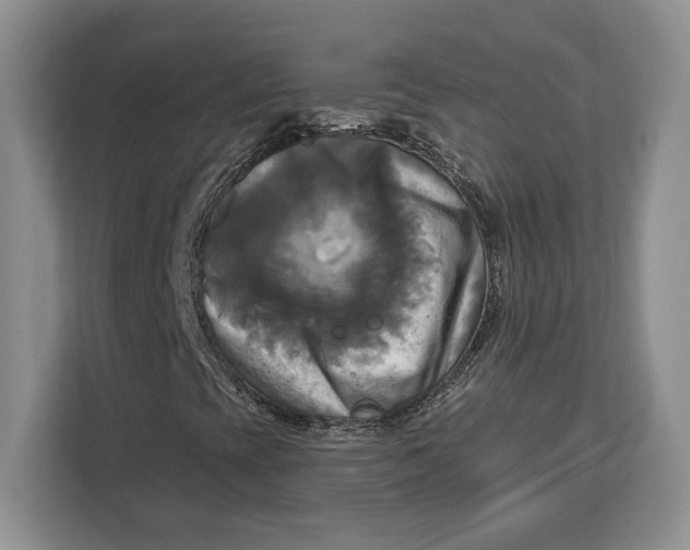 X0000113051393200909171531