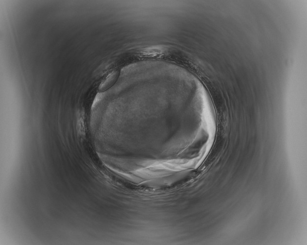 X0000113051394200909171531