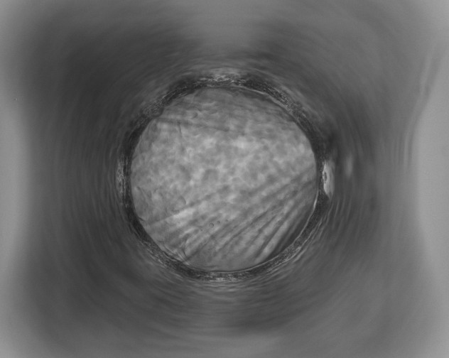 X0000113051395200909171532