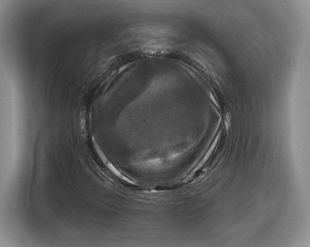 X0000113051396200909171532