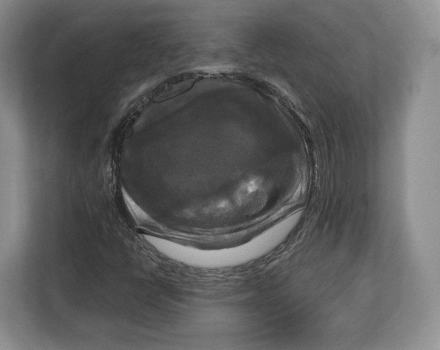 X0000113051398200909171532