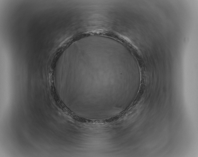 X0000113051399200909171532