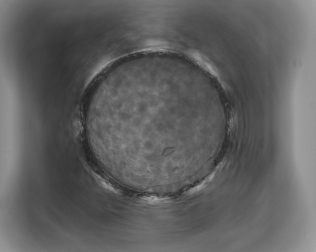 X0000113051400200909171532