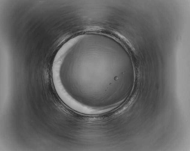 X0000113051401200909171532