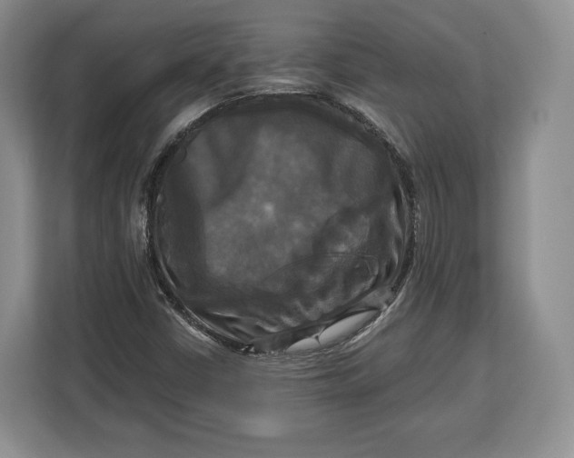 X0000113051402200909171532