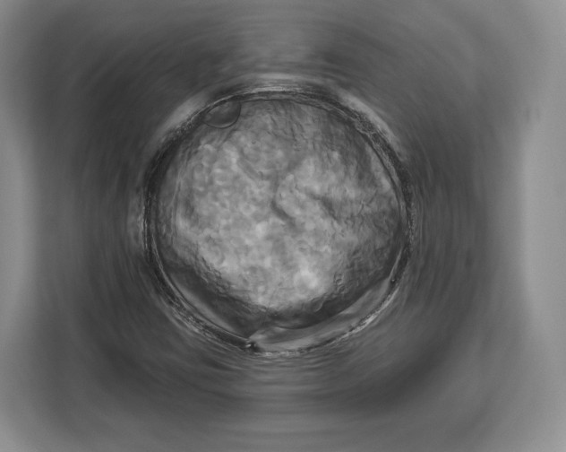 X0000113051403200909171532