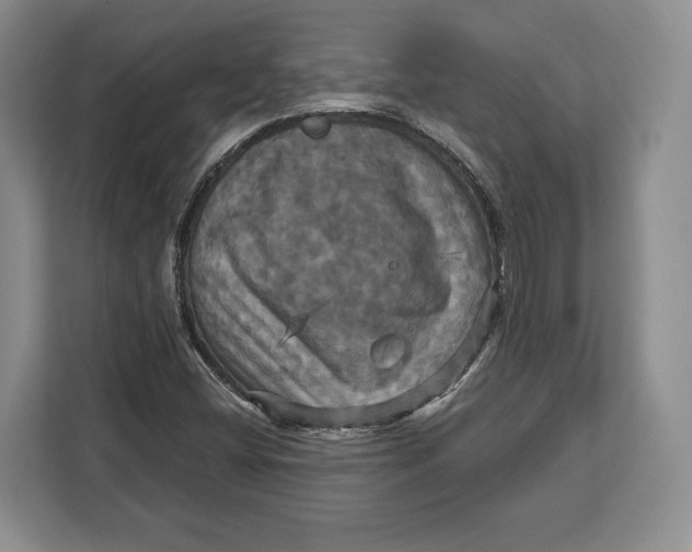 X0000113051404200909171532