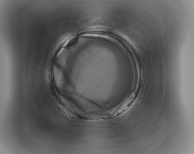 X0000113051405200909171532