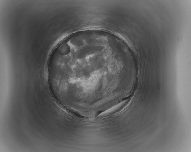 X0000113051406200909171532