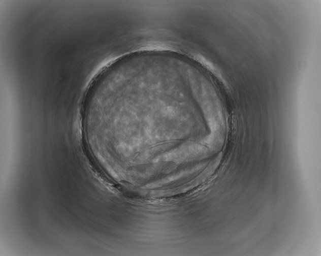 X0000113051408200909171532