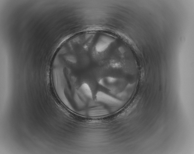 X0000113051409200909171532