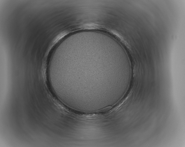 X0000113051410200909171532