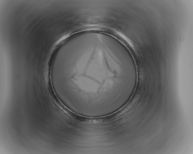 X0000113051411200909171532