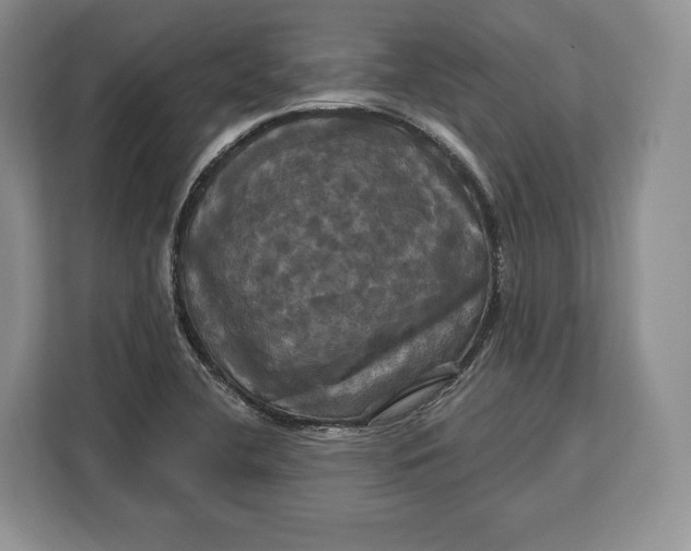 X0000113051412200909171532