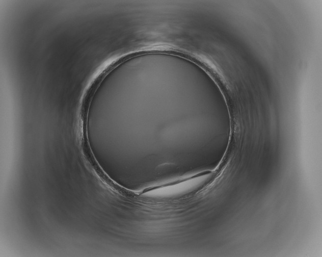 X0000113051414200909171532