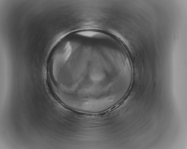 X0000113051415200909171532