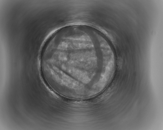 X0000113051416200909171532