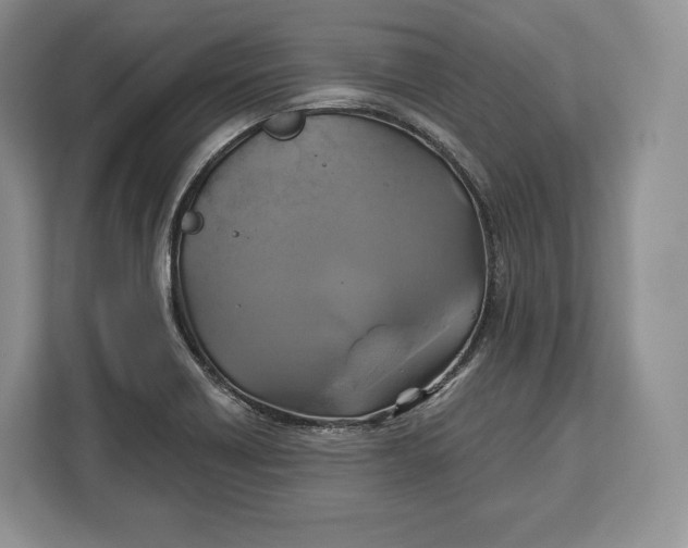 X0000113051418200909171532