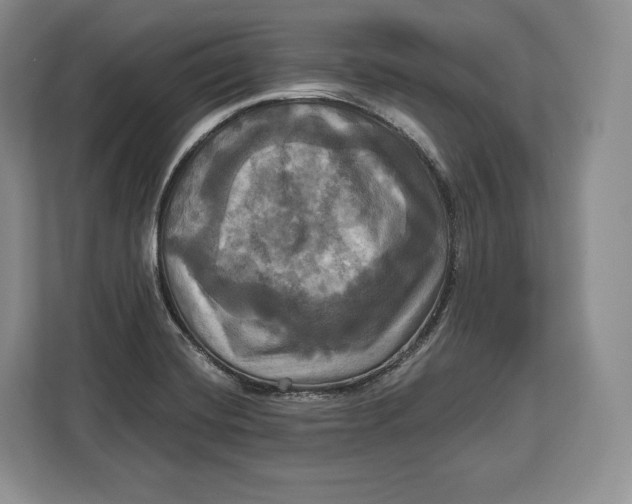 X0000113051420200909171532