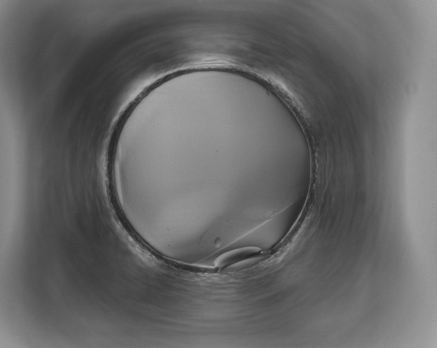 X0000113051422200909171532