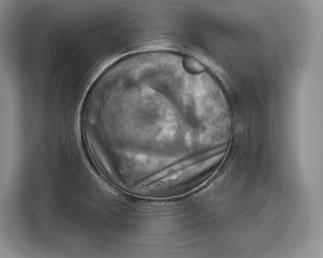 X0000113051423200909171532