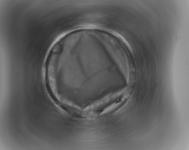 X0000113051424200909171532