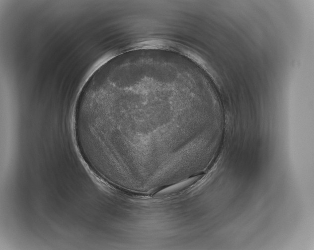 X0000113051426200909171532