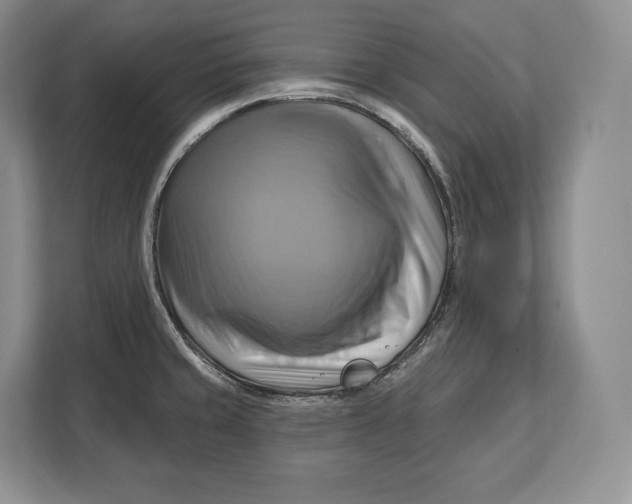 X0000113051429200909171532