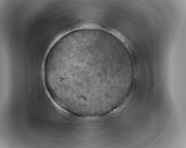 X0000113051430200909171532