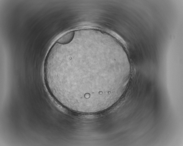 X0000113051431200909171532