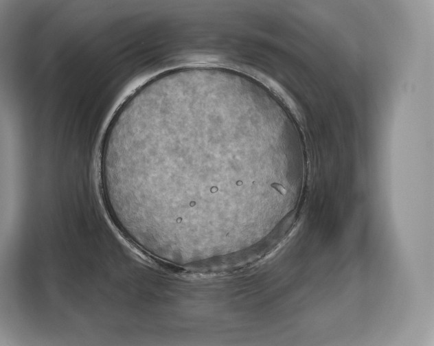 X0000113051432200909171532