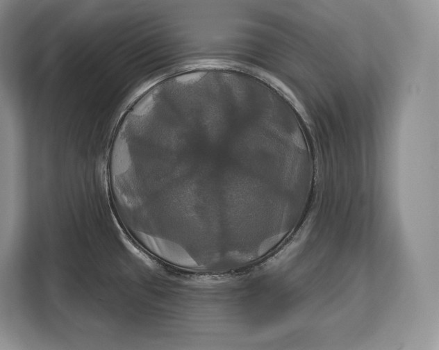 X0000113051433200909171532