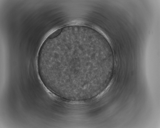 X0000113051434200909171532