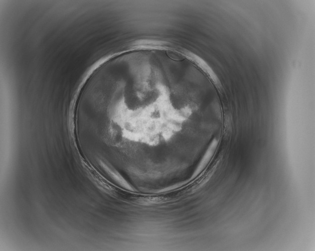 X0000113051435200909171532