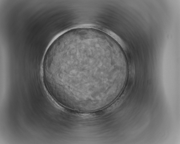 X0000113051436200909171532