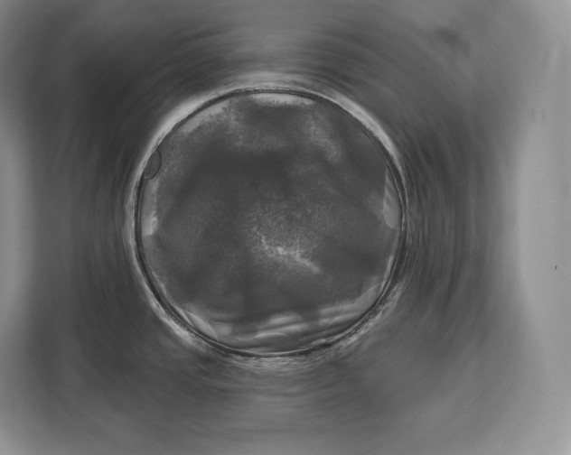 X0000113051437200909171532