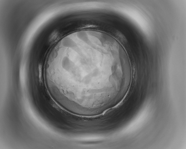 X0000113051439200909171532