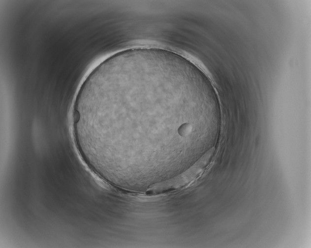 X0000113051440200909171532