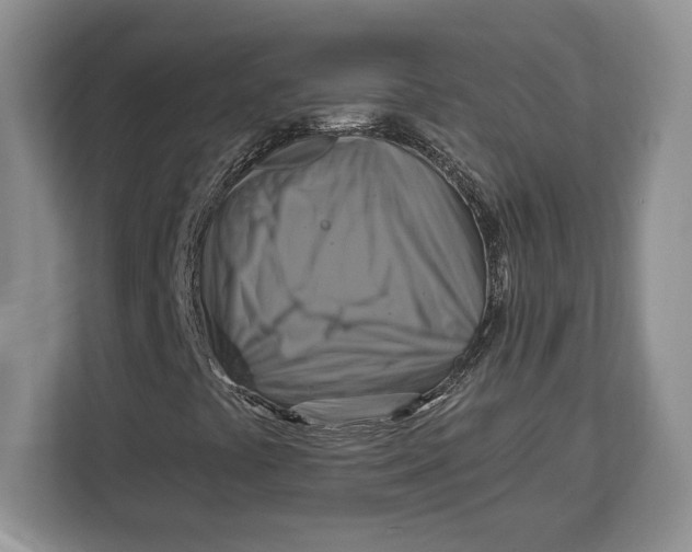 X0000113051441200909171531