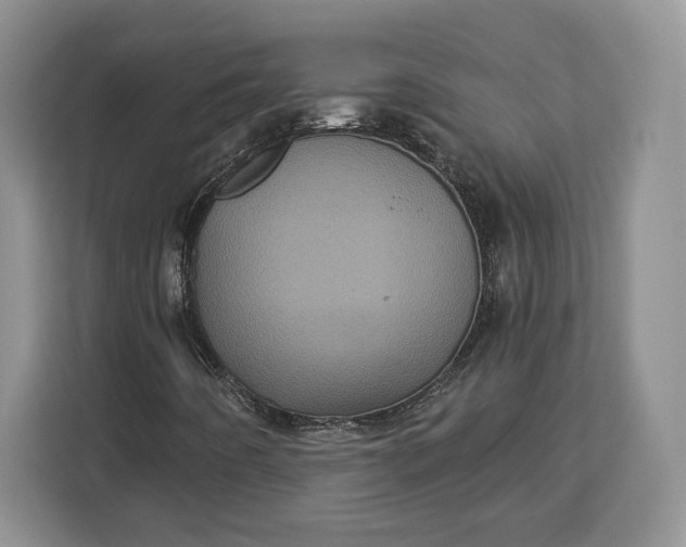 X0000113051442200909171531