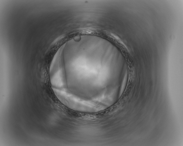 X0000113051446200909171531