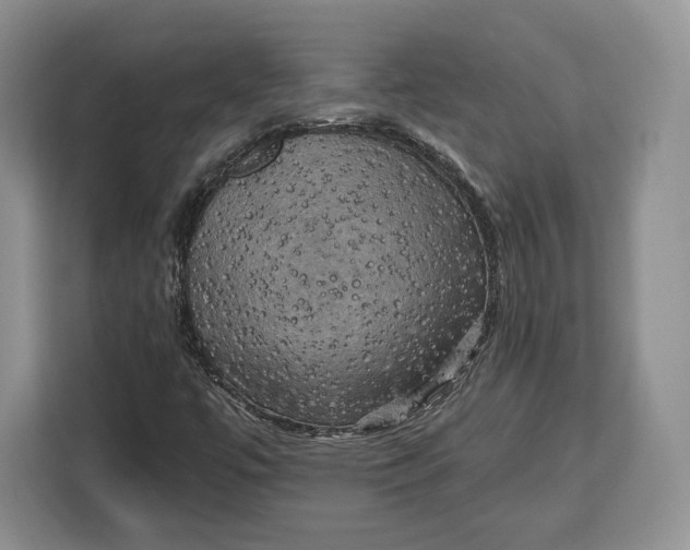 X0000113051447200909171531