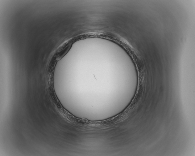 X0000113051448200909171531