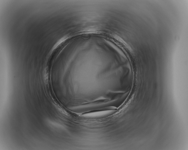 X0000113051450200909171531