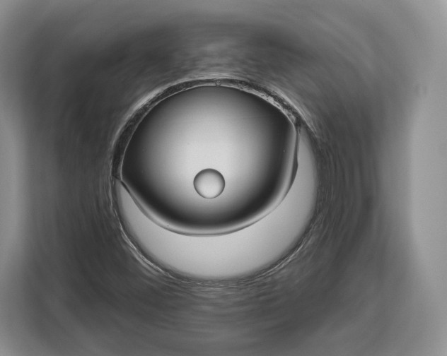 X0000113051452200909171531