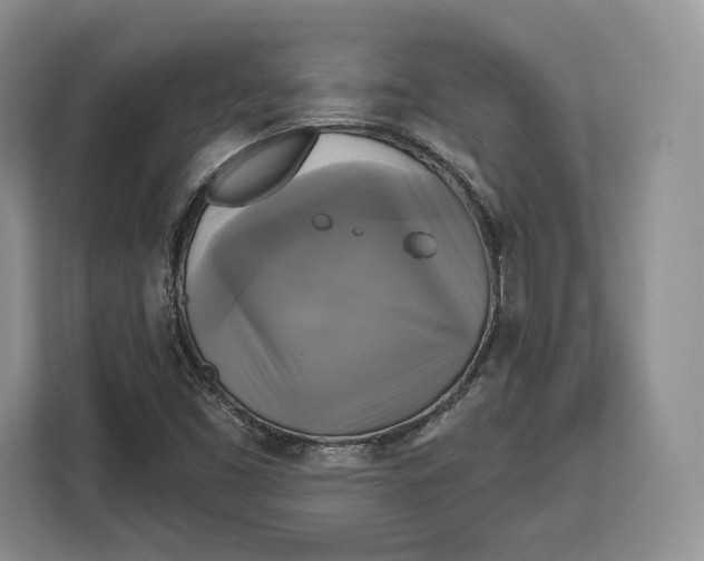 X0000113051453200909171531