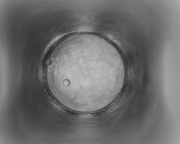 X0000113051454200909171531