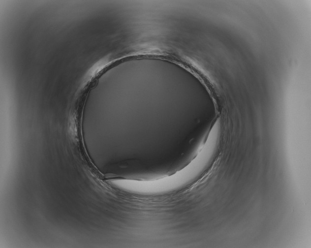 X0000113051455200909171531