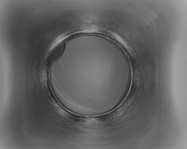 X0000113051456200909171531