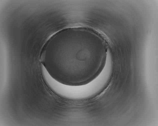 X0000113051457200909171531